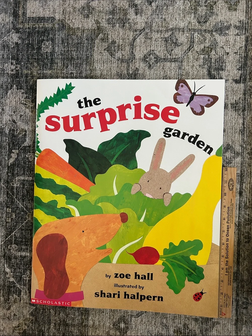 Scholastic Big Book-The Surprise Garden